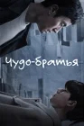  Чудесные братья смотреть онлайн сериал 1 сезон 