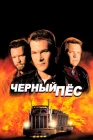  Черный пес смотреть онлайн (1998) 