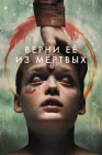  Верни её из мёртвых смотреть онлайн (2025) 