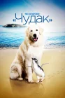  По кличке «Чудак» смотреть онлайн (2015) 