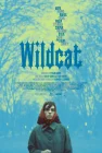  Дикая кошка смотреть онлайн (2023) 