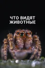 Что видят животные смотреть онлайн (2018) 