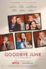  Прощай, Джун смотреть онлайн (2025) 